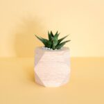 Côte d’Ivoire / FEMUA : A’SALFO offre un million aux étudiants de l’INJS blessés