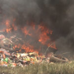 Aboisso : environ 200 patients opérés gratuitement lors d’une campagne de chirurgie des hernies et du goitre