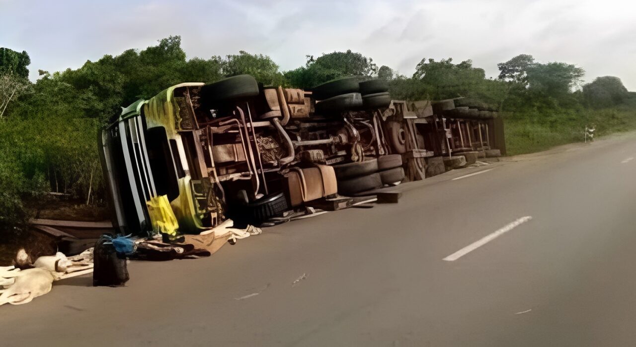 Accident sur l’axe Aboisso-Noé : un camion de bœufs fait deux morts à Sanhouman