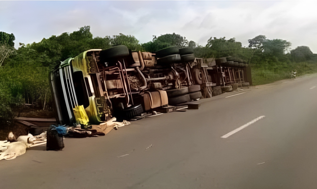 Accident sur l’axe Aboisso-Noé : un camion de bœufs fait deux morts à Sanhouman